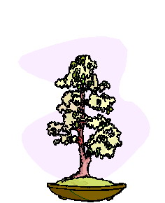 animiertes-bonsai-baum-bild-0002