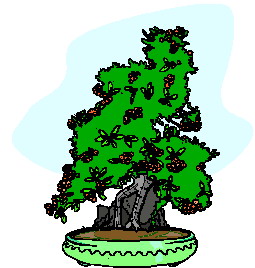 animiertes-bonsai-baum-bild-0009