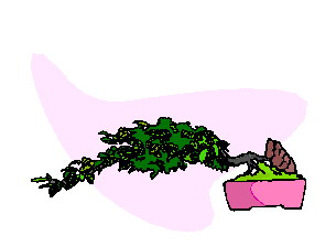 animiertes-bonsai-baum-bild-0010