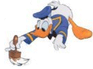 animiertes-donald-duck-bild-0183