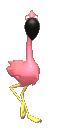 animiertes-flamingo-bild-0017