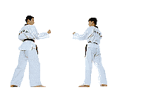 animiertes-judo-bild-0002