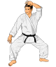 animiertes-judo-bild-0041