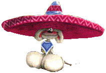 animiertes-mexiko-bild-0035