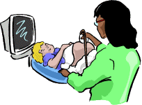 animiertes-schwangerschaft-bild-0004