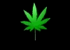 animiertes-hanf-weed-marihuana-bild-0002