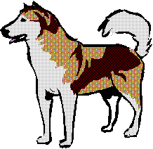 animiertes-husky-schlittenhund-bild-0031