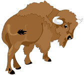 animiertes-bison-bild-0008