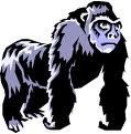 animiertes-gorilla-bild-0054