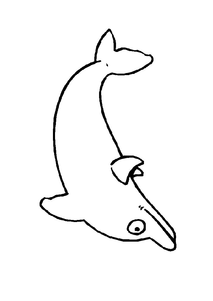 animiertes-delphin-ausmalbild-malvorlage-bild-0010