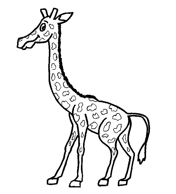 animiertes-giraffe-ausmalbild-malvorlage-bild-0002