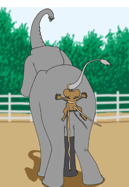 animiertes-elefant-bild-0190