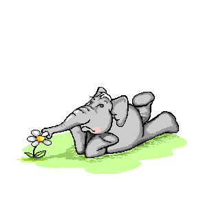 animiertes-elefant-bild-0208