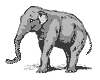 animiertes-elefant-bild-0226