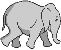 animiertes-elefant-bild-0331