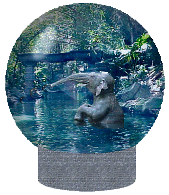 animiertes-elefant-bild-0447