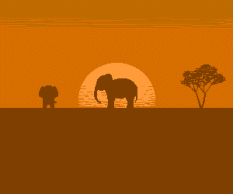 animiertes-elefant-bild-0512