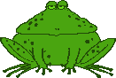 animiertes-frosch-bild-0054.gif