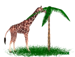 animiertes-giraffe-bild-0047