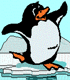 animiertes-pinguin-bild-0009