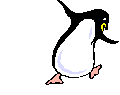 animiertes-pinguin-bild-0055