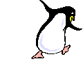 animiertes-pinguin-bild-0082