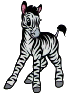 animiertes-zebra-bild-0023