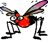 animiertes-insekten-bild-0031
