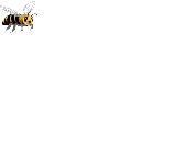 animiertes-insekten-bild-0038