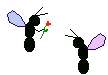 animiertes-insekten-bild-0056