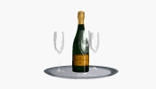 animiertes-champagner-bild-0006