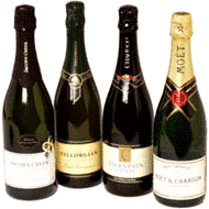 animiertes-champagner-bild-0025