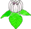 Dateianhang: