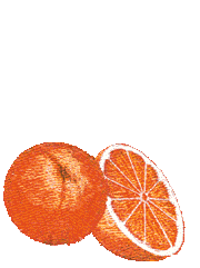 animiertes-orange-bild-0057