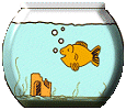 animiertes-aquarium-bild-0013