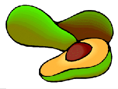 animiertes-avocado-bild-0003