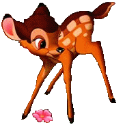 animiertes-bambi-bild-0045