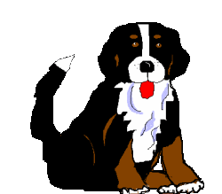 animiertes-berner-sennenhund-bild-0138