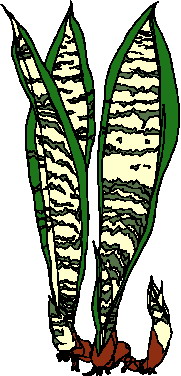animiertes-blatt-bild-0006