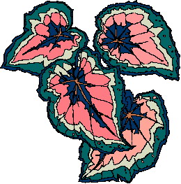 animiertes-blatt-bild-0064