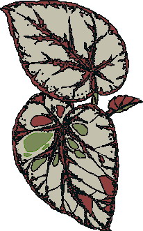 animiertes-blatt-bild-0122