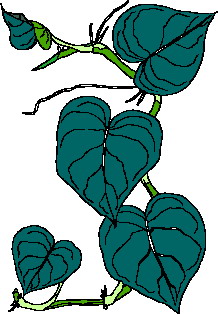 animiertes-blatt-bild-0223