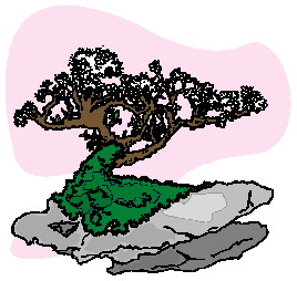 animiertes-bonsai-baum-bild-0036