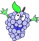 graphics-fruit-932446