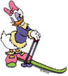 animiertes-donald-duck-bild-0024