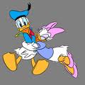 animiertes-donald-duck-bild-0028