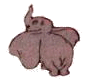 animiertes-dumbo-bild-0001