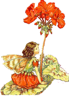animiertes-elfe-bild-0414