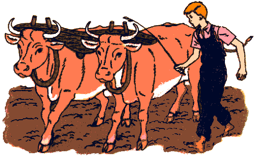 animiertes-bauernhof-farm-landwirtschaft-bild-0093