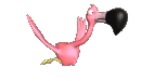 animiertes-flamingo-bild-0007